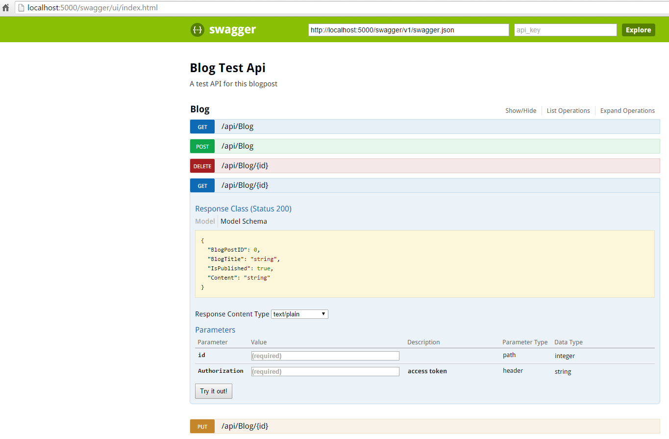 Swagger UI with Authorization field